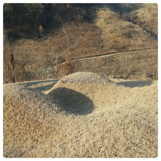 보은 묘지이장 현장 사진 - 충청북도 보은군 묘지분묘개장 파묘 1기