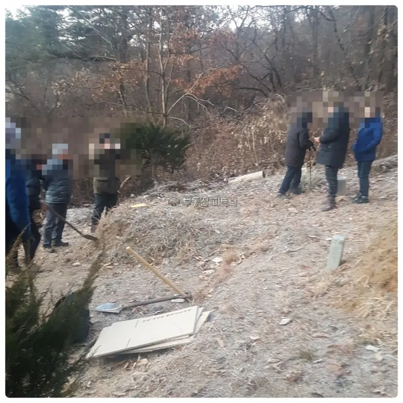 대전 묘지이장 현장 사진 - 전국 묘지전문업체 묘지파트너가 진행한 대전광역시 동구 3기 개장 · 파묘