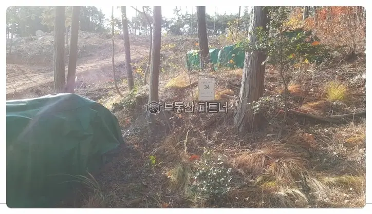 거제 묘지이장 현장 사진 - 무연고분묘 처리 전문업체! 묘지 파트너가 진행한 경남 거제시 거제면 4기