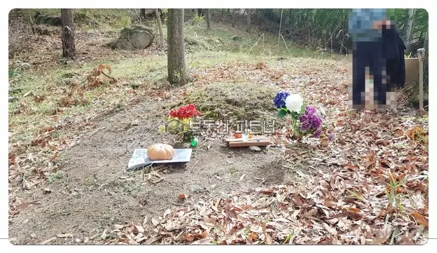 남양주 묘지이장 현장 사진 - 경기도 남양주시 다산 신도시 인근 배양리 묘지이장공사를 맡은 전국대표 묘