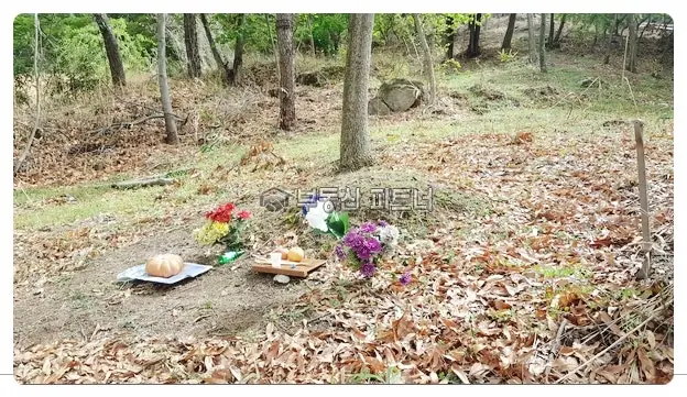 남양주 묘지이장 현장 사진 - 경기도 남양주시 다산 신도시 인근 배양리 묘지이장공사를 맡은 전국대표 묘
