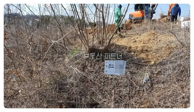 김천 묘지이장 현장 사진 - 경북 김천시 습례지구 무연고 분묘 90여 기 처리 공사 무연고 묘 개장