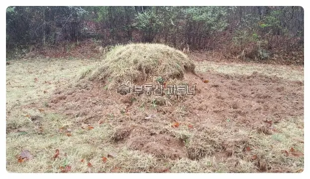 의성 묘지이장 현장 사진 - 경북 의성군 묘 1기 이장, 개장 · 화장 후 평장와비 설치 절차와 비용