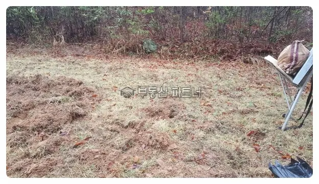의성 묘지이장 현장 사진 - 경북 의성군 묘 1기 이장, 개장 · 화장 후 평장와비 설치 절차와 비용