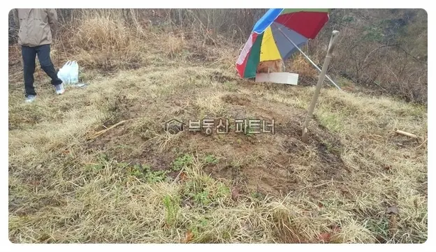 가평 묘지이장 현장 사진 - 경기도 가평군 1기 묘지개장 절차 및 비용