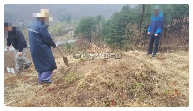 가평 묘지이장 현장 사진 - 경기도 가평군 1기 묘지개장 절차 및 비용