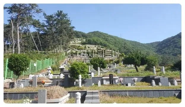 김해 묘지이장 현장 사진 - 경남 김해시 공원 묘원에서의 개장 · 파묘 절차와 비용