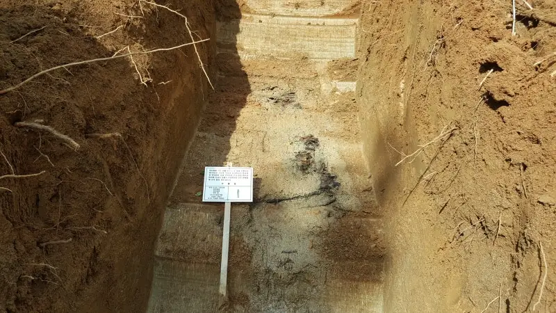 경북 성주 묘지이장 현장 사진 - 경북 성주군 무연고 분묘 2기 처리는 어떻게? 행정대행 부터 묘지 파묘