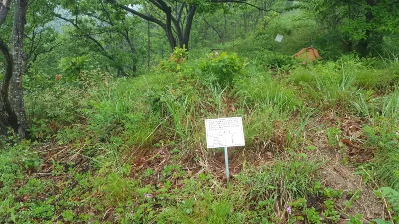 청양 묘지이장 현장 사진 - 충남 청양군 무연 분묘 2기 묘지 개장 허가부터 파묘 납골까지~ 그 절차