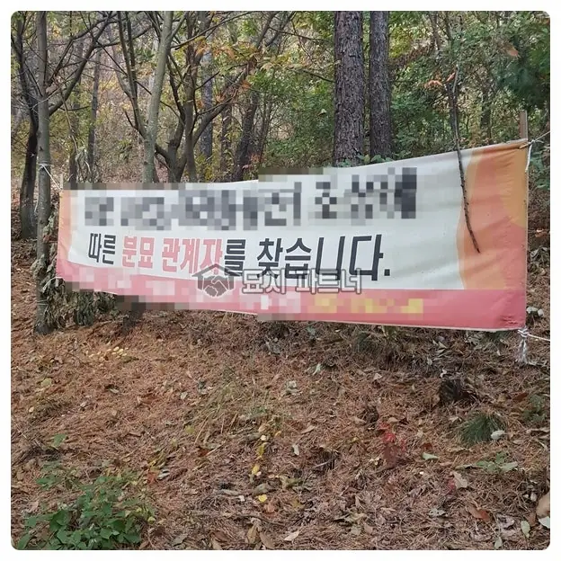 청양 묘지이장 현장 사진 - 충남 청양군 무연 분묘 2기 묘지 개장 허가부터 파묘 납골까지~ 그 절차