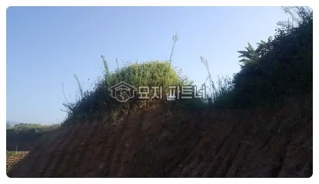 음성 묘지이장 현장 사진 - 무연분묘 묘지 개장 허가는 어떻게 할까? 충북 음성군에서 진행한 무연고