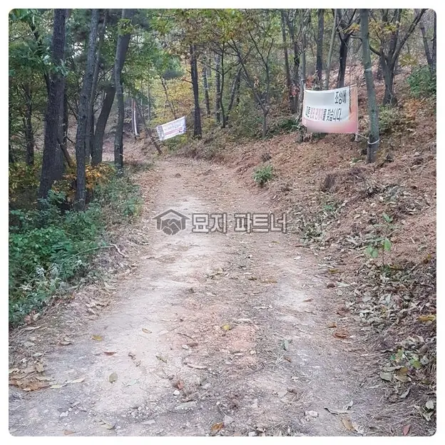 밀양 묘지이장 현장 사진 - 무연분묘 묘지 개장 허가 및 절차대행은 어떻게 진행될까? 경북 밀양시 무
