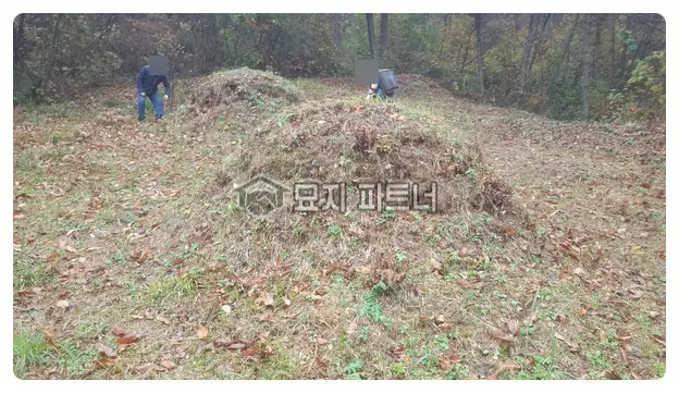 함평 묘지이장 현장 사진 - 전남 함평군 산소 묘지 사초 4기 봉분 떼(잔디)를 잘 가다듬는 일! 어