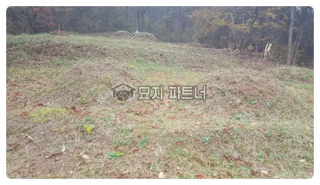 함평 묘지이장 현장 사진 - 전남 함평군 산소 묘지 사초 4기 봉분 떼(잔디)를 잘 가다듬는 일! 어