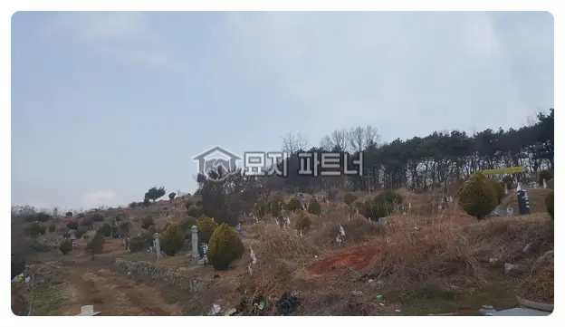 옥천 묘지이장 현장 사진 - 인천 갈현동 장기 공동묘지 분묘 보상 및 묘지 개장, 이장, 파묘 안내와