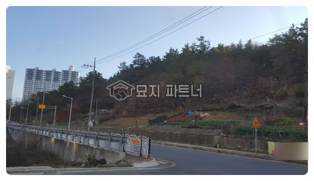 경북 영천 묘지이장 현장 사진 - 경북 영천시 무연분묘 절차대행, 허가 및 무연고 분묘 처리 비용에 대해서