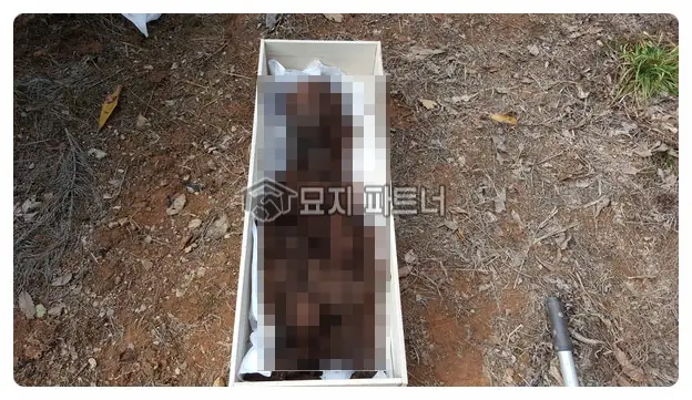 화성 묘지이장 현장 사진 - 경기도 화성시 묘지 이장, 개장 2기 그 절차와 비용은...?