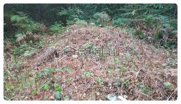 함평 묘지이장 현장 사진 - 전남 함평군 묘지 이장 · 산소 개장 1기 절차와 비용