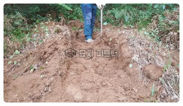 함평 묘지이장 현장 사진 - 전남 함평군 묘지 이장 · 산소 개장 1기 절차와 비용