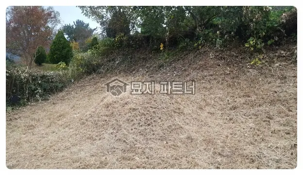 보성 묘지이장 현장 사진 - 전남 보성군 벌교 묘지 이장 파묘 절차와 개장 비용에 대해서 그리고 궁중