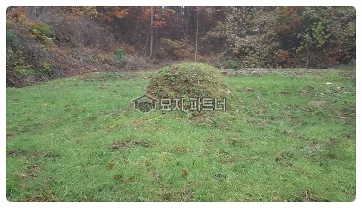 영동 묘지이장 현장 사진 - 충북 영동군 묘지 이장 · 묘지 개장 절차와 비용 : 탈관(脫棺) 해서 