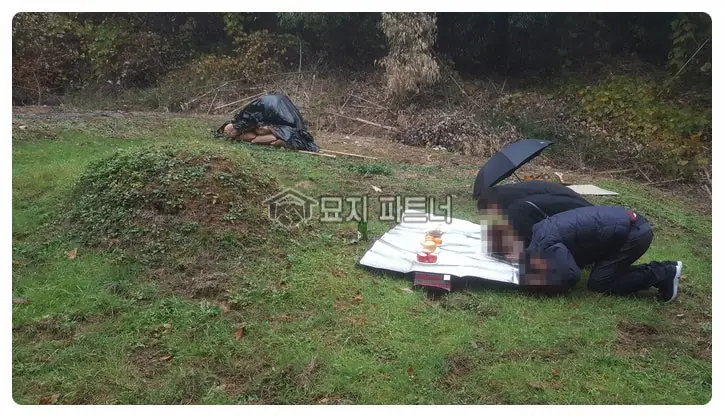 영동 묘지이장 현장 사진 - 충북 영동군 묘지 이장 · 묘지 개장 절차와 비용 : 탈관(脫棺) 해서 