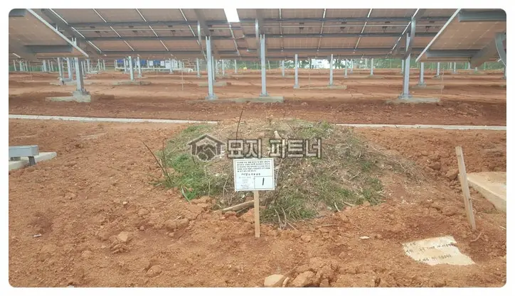 고흥 묘지이장 현장 사진 - 고흥군 태양광 부지에서 무연고 묘지라 불리는 무연분묘 처리 방법과 비용