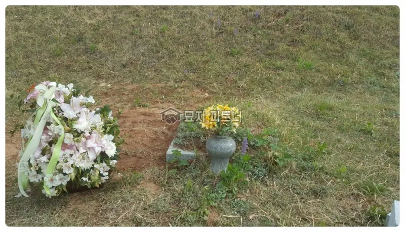 수원 묘지이장 현장 사진 - 경기 수원시 둘레석 묘지사초공사 어떻게 진행되고 묘이장업체 비용은 얼마일