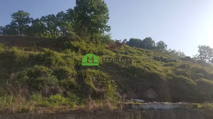 보성 묘지이장 현장 사진 - 경계석 평장묘 절차와 조성 비용까지 알아보자