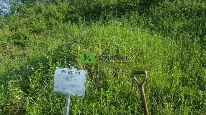 보성 묘지이장 현장 사진 - 경계석 평장묘 절차와 조성 비용까지 알아보자