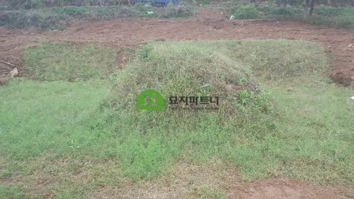 금산 묘지이장 현장 사진 - 물에 잠긴 유골 묘지이장 파묘 묘개장 금산 편