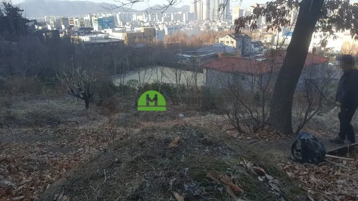 순천 묘지이장 현장 사진 - 순천 묘지이장 산소개장 후기 풍수지리상 황골 명당터
