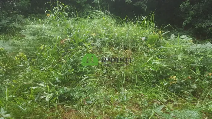 충북 보은 묘지이장 현장 사진 - 유연고분묘 무연고묘지 함께 묘지이장한 충북 보은군