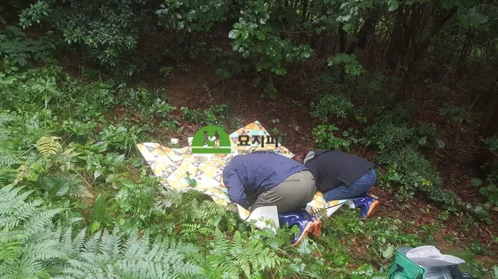 충북 보은 묘지이장 현장 사진 - 유연고분묘 무연고묘지 함께 묘지이장한 충북 보은군