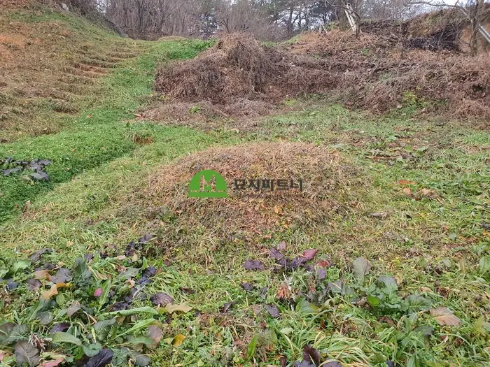 광주 북구 묘지이장 현장 사진 - 광주 묘지이장 파묘 산소개장은 어떻게 진행될까