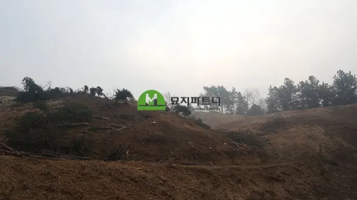 파주 묘지이장 현장 사진 - 파주 고양 무연고분묘 주인없는묘지 파묘 절차와 방법