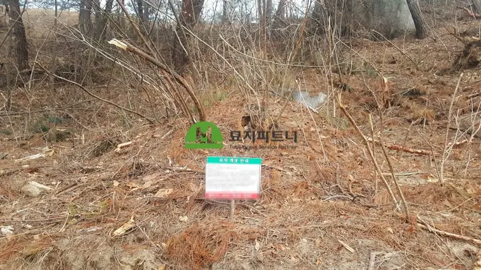 파주 묘지이장 현장 사진 - 파주 고양 무연고분묘 주인없는묘지 파묘 절차와 방법