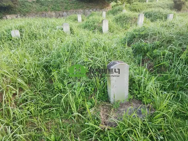 완주 묘지이장 현장 사진 - 삼례 묘지이장 파묘 절차와 과정 비용 정리