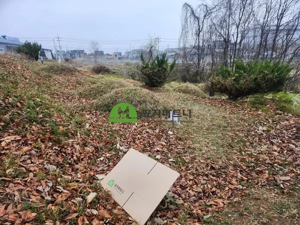 여주 묘지이장 현장 사진 - 여주 삼교동 공동묘지 이장, 파묘 보상받으려면 지금 준비해야 합니다