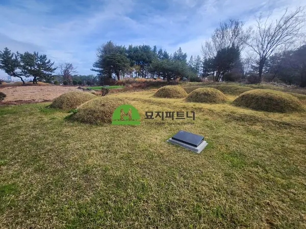 구례 묘지이장 현장 사진 - 내 땅에 묘지가 있다면 어떻게 해야 할까? 토지주가 알아야 할 처리 절차