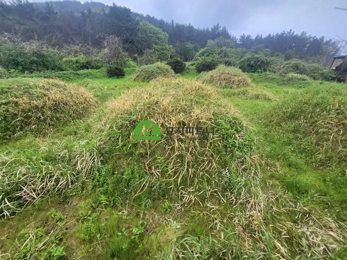 진안 묘지이장 현장 사진 - 진안 묘지이장, 여러 현장을 진행하며 자주 확인한 비용·절차·장지 기준