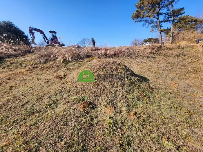 정읍 묘지이장 현장 사진 - 정읍 묘지이장 비용, 오래된 산소 파묘와 유골수습은 어떻게 준비할까