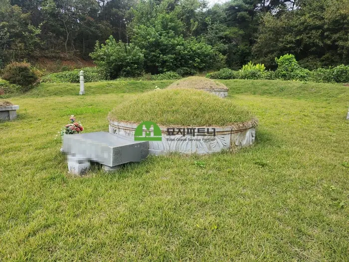 보령 묘지이장 현장 사진 - 보령 묘지이장, 추석 가족회의 전에 확인할 것과 비용 기준