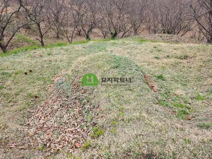 전남광주 화순 묘지이장 현장 사진 - 화순 곡성 묘지이장, 같은 선산 안에서 자리만 옮겨도 개장신고가 필요할까
