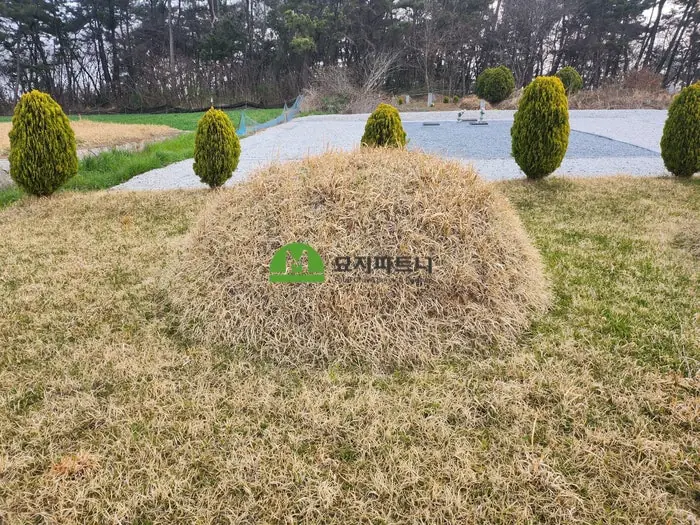 전남광주 영광 묘지이장 현장 사진 - 영광 무안 묘지이장, ‘산소를 없애는 작업’은 실제로 어떻게 진행할까?
