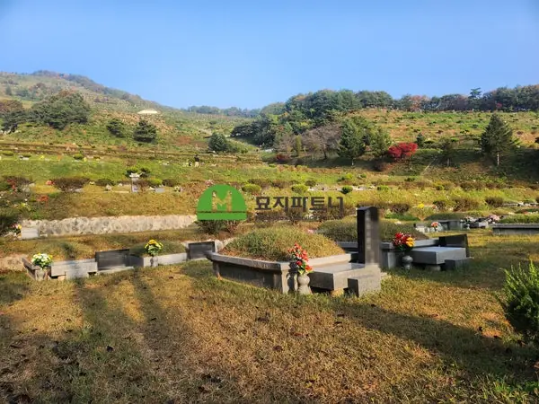 홍성 묘지이장 현장 사진 - 홍성 묘지이장, 오래된 부모님 산소가 미육탈이면 파묘는 어떻게 진행할까?