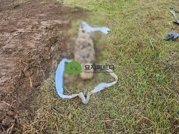 홍성 묘지이장 현장 사진 - 홍성 묘지이장, 오래된 부모님 산소가 미육탈이면 파묘는 어떻게 진행할까?