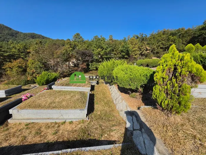 충남 태안 묘지이장 현장 사진 - 태안 묘지이장, 부부 합장묘 파묘하면 유골은 어떻게 구분해 수습할까?