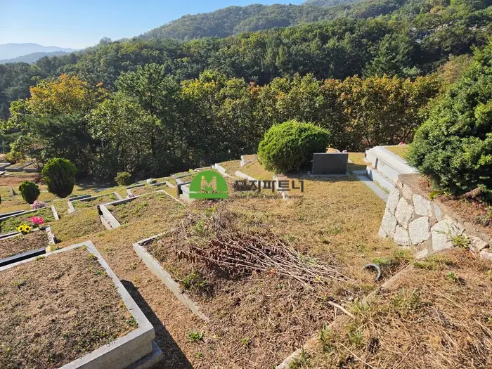 충남 태안 묘지이장 현장 사진 - 태안 묘지이장, 부부 합장묘 파묘하면 유골은 어떻게 구분해 수습할까?