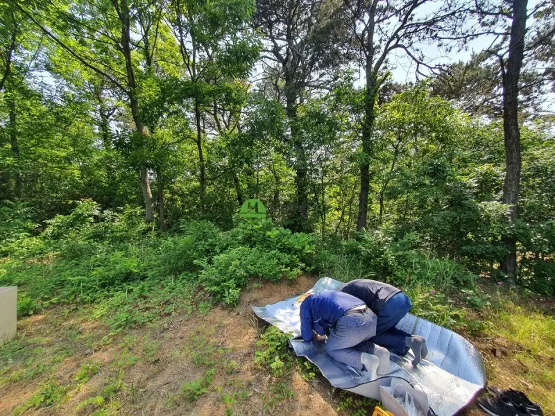 서천 묘지이장 현장 사진 - 군산 서천 묘지개장은 이러한 진행 절차를 거치게 됩니다